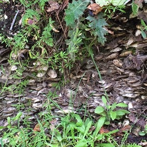 IMG_0303 IMG_0303