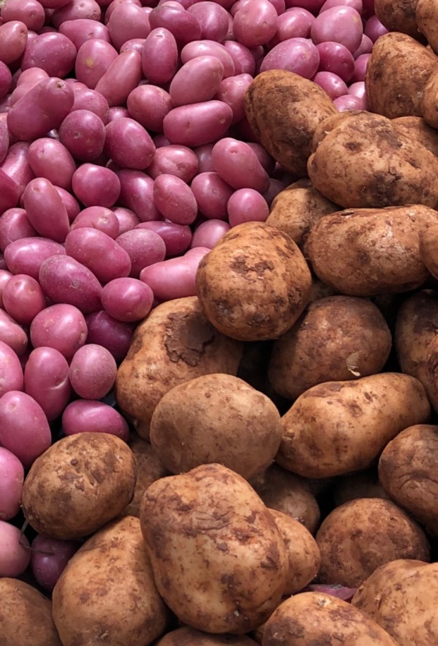 The potato is a tuber of the plant Solanum tuberosum and is a root vegetable native to the Americas. Potato is grown for its starchy edible tubers. Potatoes tubes are more energy-packed than any other popular vegetable.