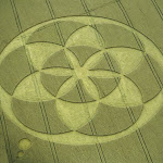 gambar crop circle, foto crop circle, alien, ufo, lingkaran tanaman, www.digaleri.com