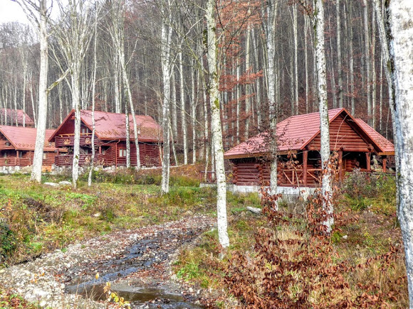 Свалявський район. Курорт «Сонячне Закарпаття»