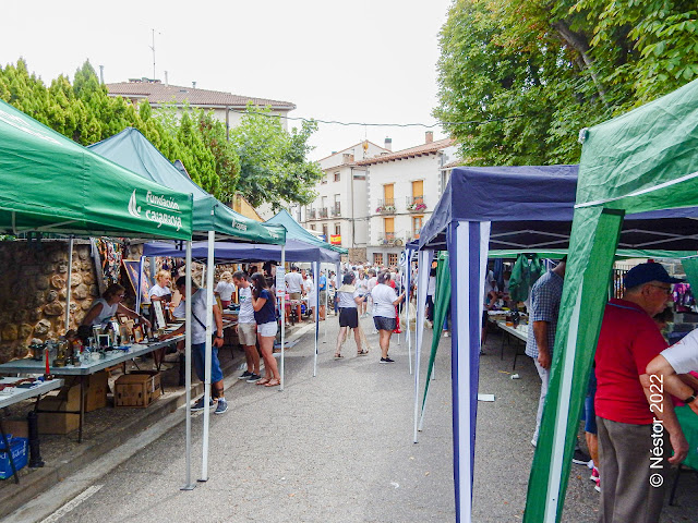 Torrecilla en Cameros. Fiesta de la Solidaridad 2022