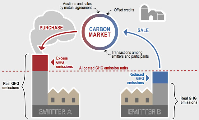 Carbon Verification Market