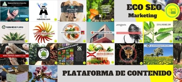 Plataforma para contenido para web