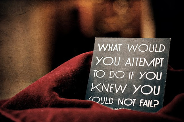 What would you attempt to do if you knew you could not fail?