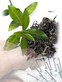 Green Tea Benefits for Hair, Green Tea Benefits for Prevent Hair Loss