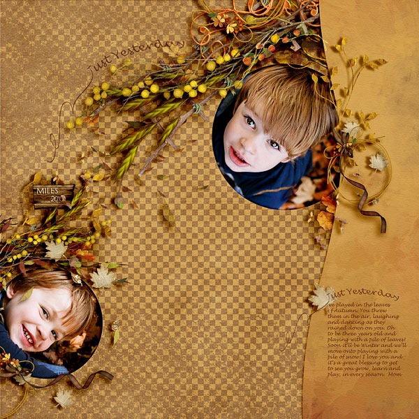 Just-Yesterday-Autumn