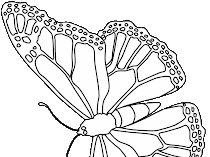 Coloring Pages For Butterflies
