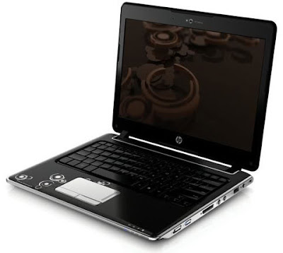 HP Pavilion dm3-1014TU