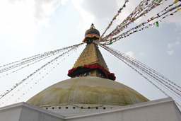 IMG_2078