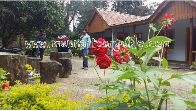 farm house bungalows in munnar for bachelors and family group, munnar bungalows for rent, 