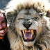 Can Humans and Lions Truly Be Friends?