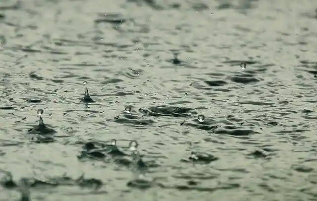 Despite El Nino conditions, the monsoon is projected to be normal at 96%, according to IMD.