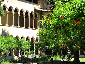 Orange trees inside the cloister of Pedralbes Monastery