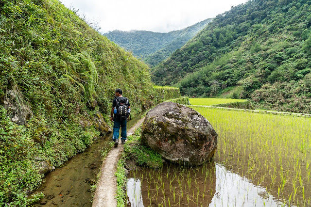 Magulon-Ifugao-Luçon-Philippines