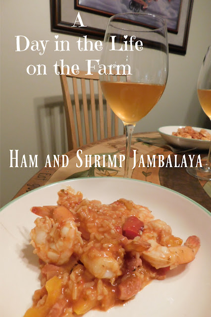 Ham and Shrimp Jambalaya pin