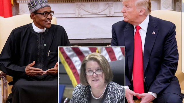 US Ambassador to Nigeria gives conditions to reverse visa ban 