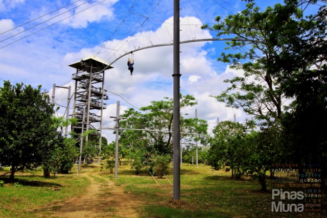 Roller Coaster Zipline Nuvali