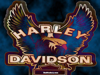 Free Harley  Davidson  Eagle Logo  Bull Gallery
