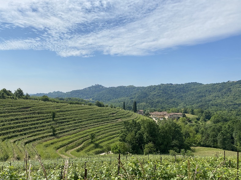 La vista sui vigneti alle piramidi di Montevecchia