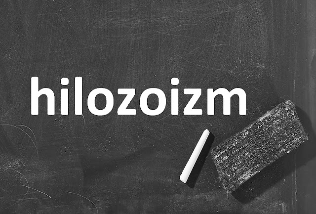 hilozoizm