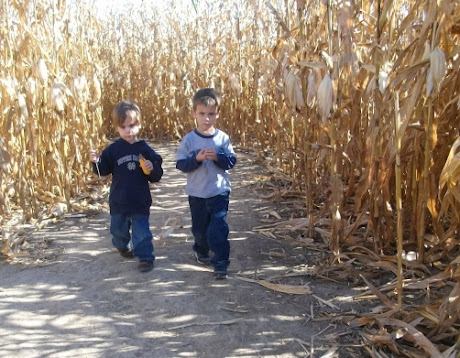 NAMC Montessori going out activity visiting a farm for fall boys in corn field