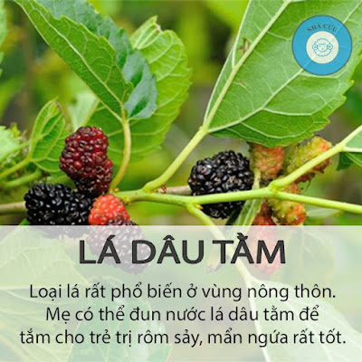 la dau tam