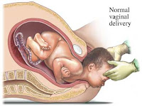 Resultado de imagen para nacimiento humano