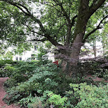 weer eens wandelen - kloostertuin
