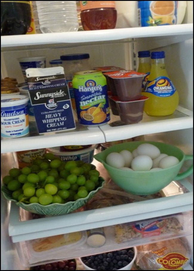 frige%20pantry%20closet%20redo%20007[1]