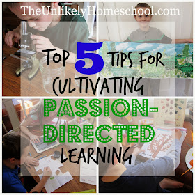 Top 5 Tips for Cultivating Passion-Directed Learning {The Unlikely Homeschool}