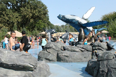 Bring your swimsuit for the Alaskan Adventure splashgrounds at Omaha's Henry Doorly Zoo