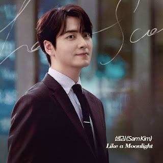 Sam Kim - Like a Moonlight 我的完美秘書 OST