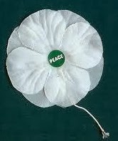 white-poppy