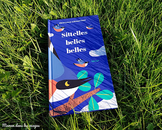 http://mamandanslesnuages.blogspot.com/2019/04/sittelles-belles-belles.html