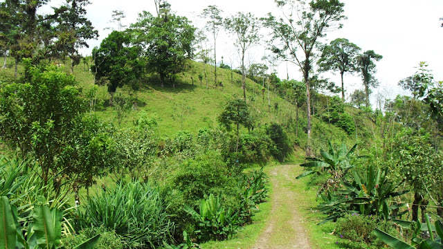 Costa Rica, Cerro chato hike