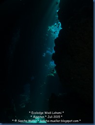 IMG_7617