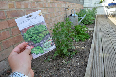 Packet of basil seeds next to prepared herb bed