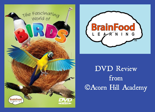 The Birds Dvd