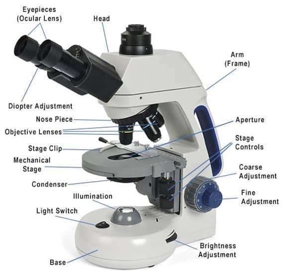bagian-bagian mikroskop beserta fungsinya, sehingga kita dapat memahami bagaimana alat ini bekerja secara keseluruhan dan manfaatnya dalam pemahaman ilmiah.