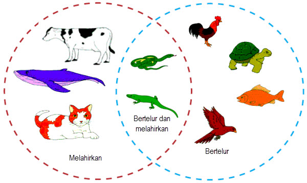 Bacalah teks berikut dalam hati 