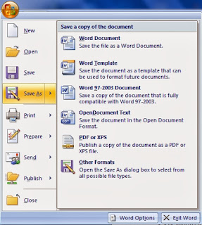 Cara Mengubah  File Word Ke Pdf, Ms.word