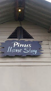 homestay pinus