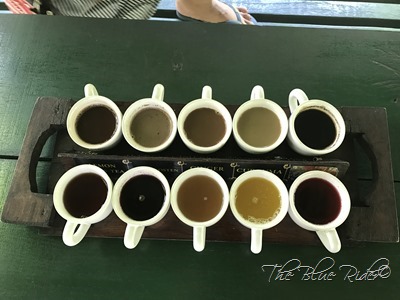 IMG_1952 IMG_1952