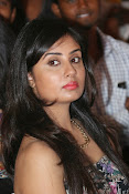 Bhanusri Mehra glamorous photos-thumbnail-5