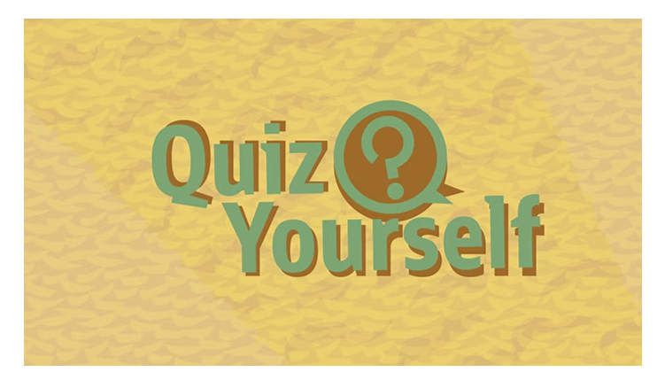 Quiz yourself, Java object, Oracle Java, Oracle Java Certification, Oracle Java Prep, Java Career, Java Guides, Java Learning, Java Object