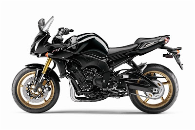 2010 Yamaha FZ1 Motorcycle