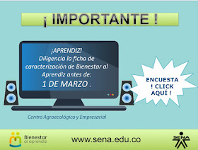 Encuesta de caracterización Bienestar al Aprendiz 2019