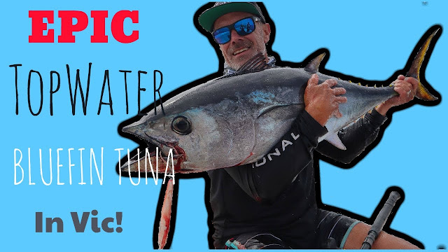 EBB TIDE TACKLE - The BLOG: Topwater Southern Bluefin Tuna - The