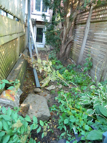 Toronto High Park Back Yard Fall Cleanup Before by Paul Jung Gardening Services--a Toronto Organic Gardener