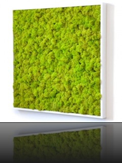 tableau-design-kandigreen-250